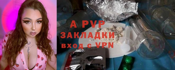 индика Балахна
