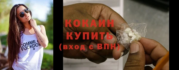 индика Балахна