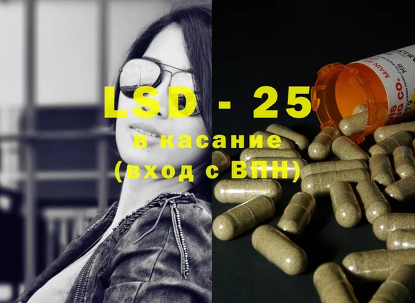 индика Балахна