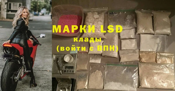 индика Балахна