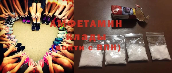 индика Балахна