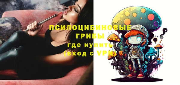 индика Балахна